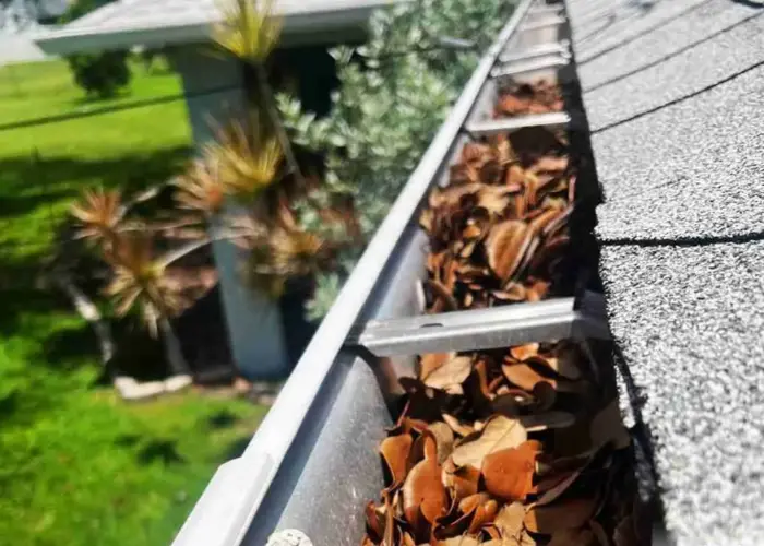 Reston gutter cleaning home page